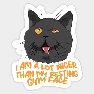 Funny Cat Resting Gym Face Sticker